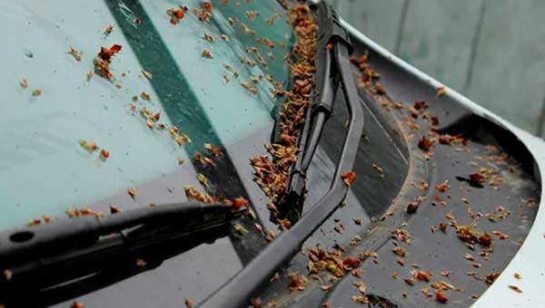 убрать налипшую смолу с автомобиля